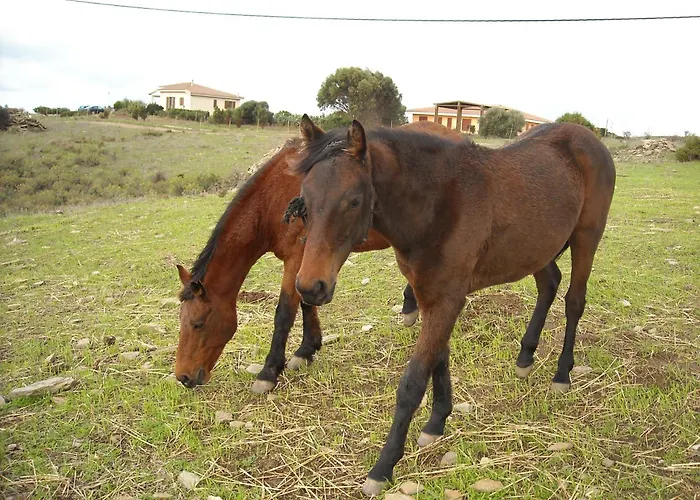 Agriturismo Depalmas Stintino